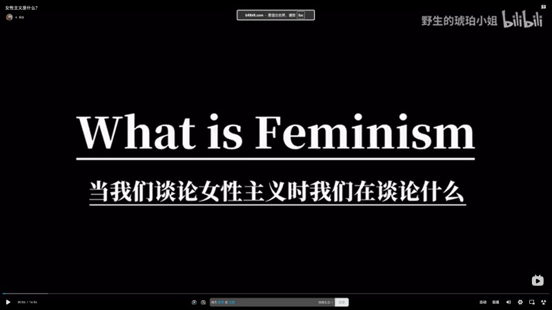 What is Feminism?: From Beauvoir to Contemporary Controversies
